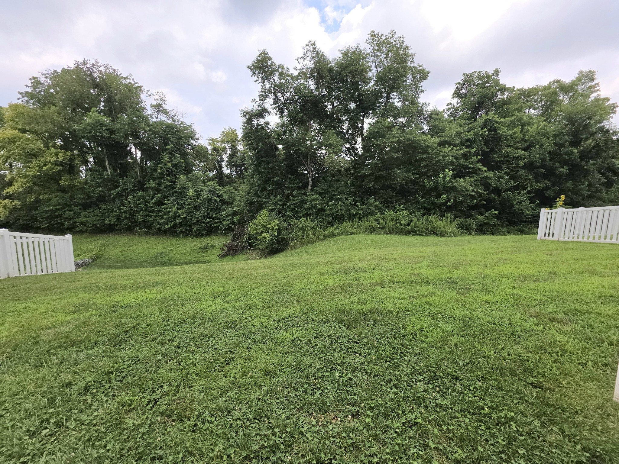 1466 Carderock Springs Dr