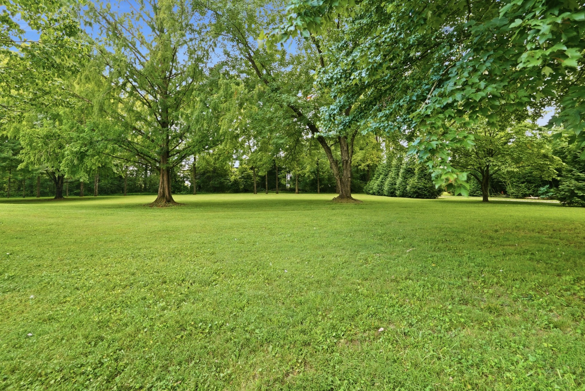 831 Osborne Ln