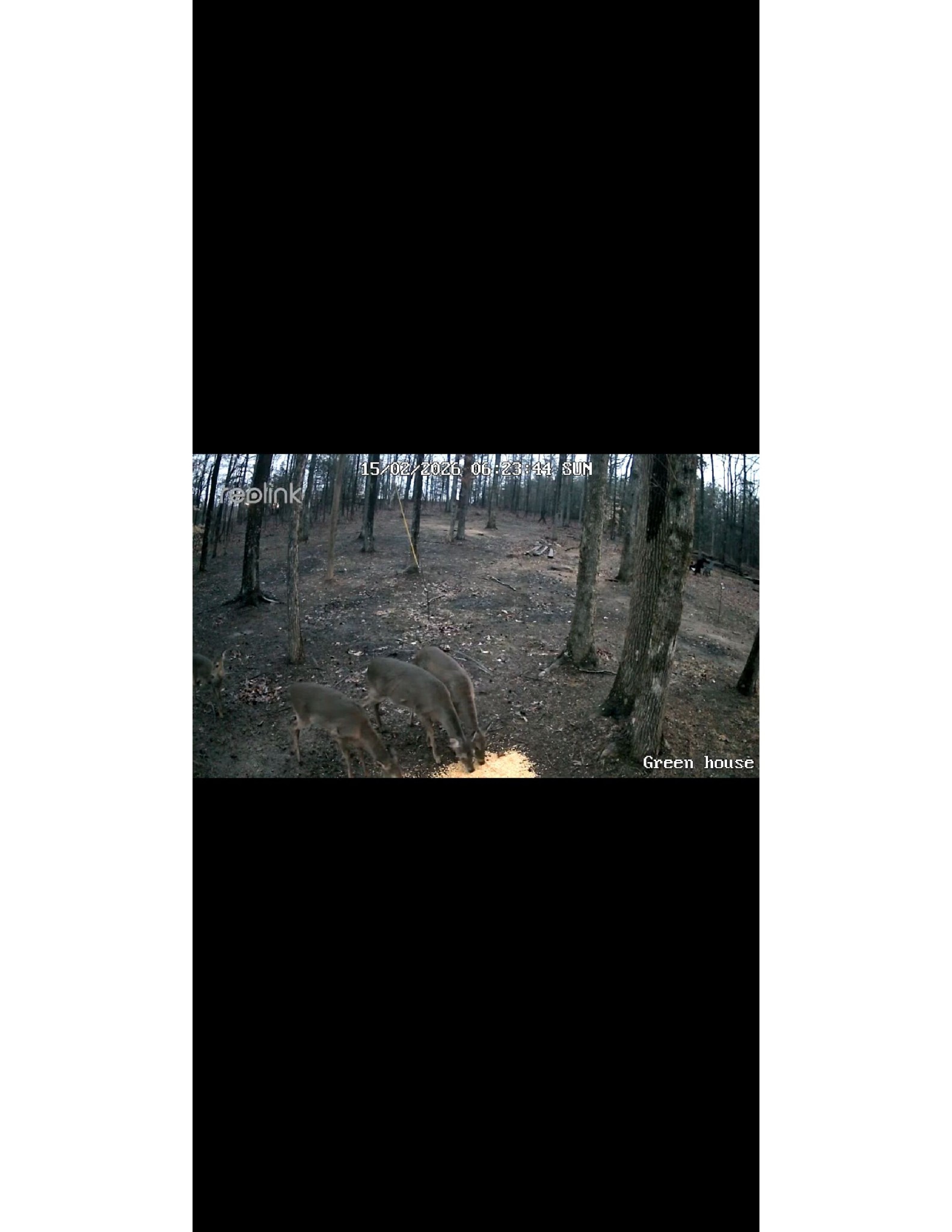 312 Meeks Rd