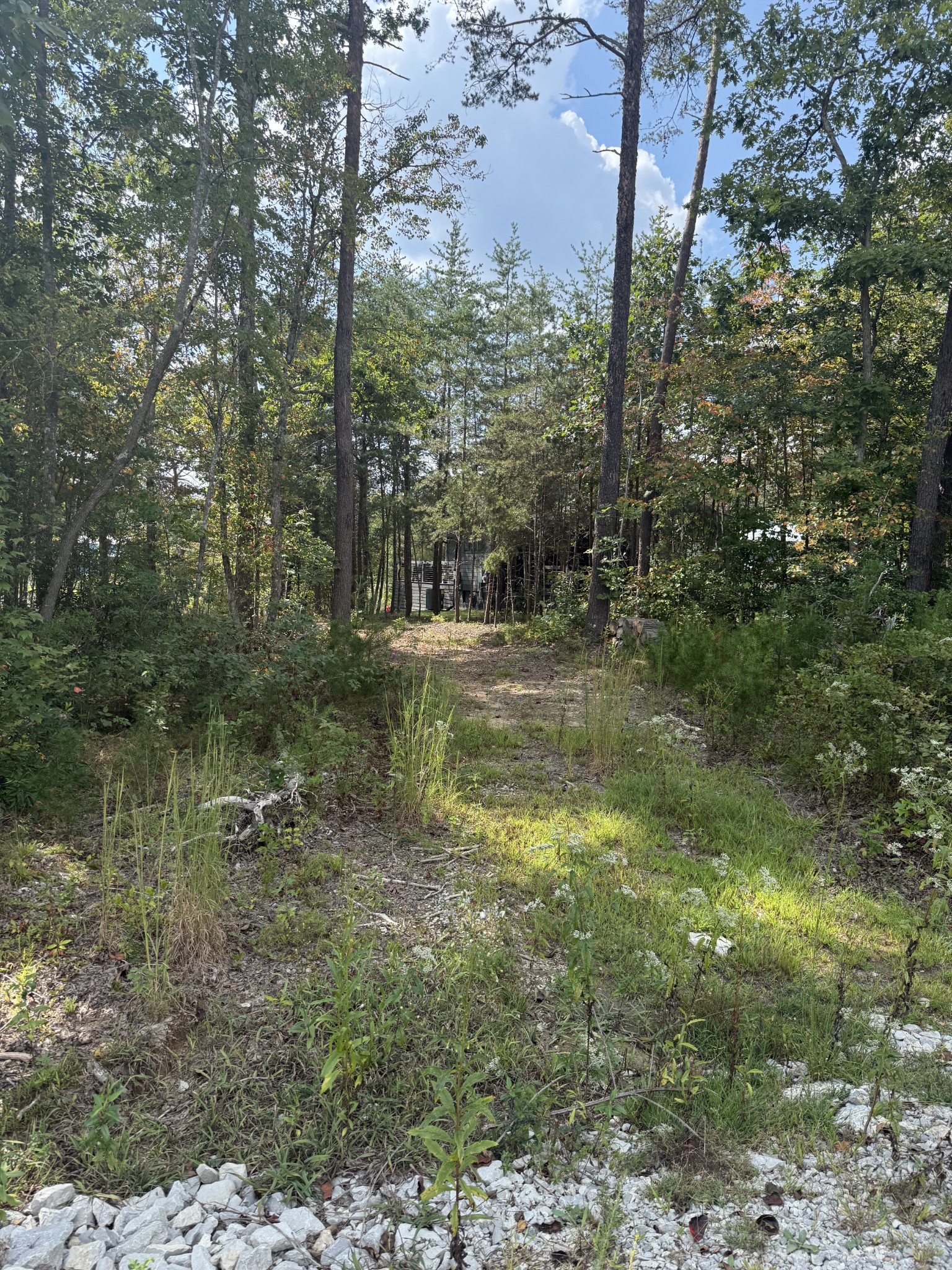 312 Hemlock Cove