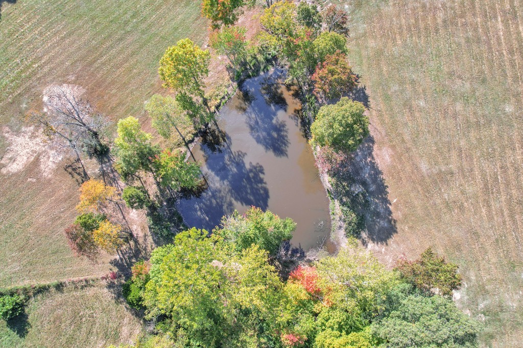 796 Daisy Cir