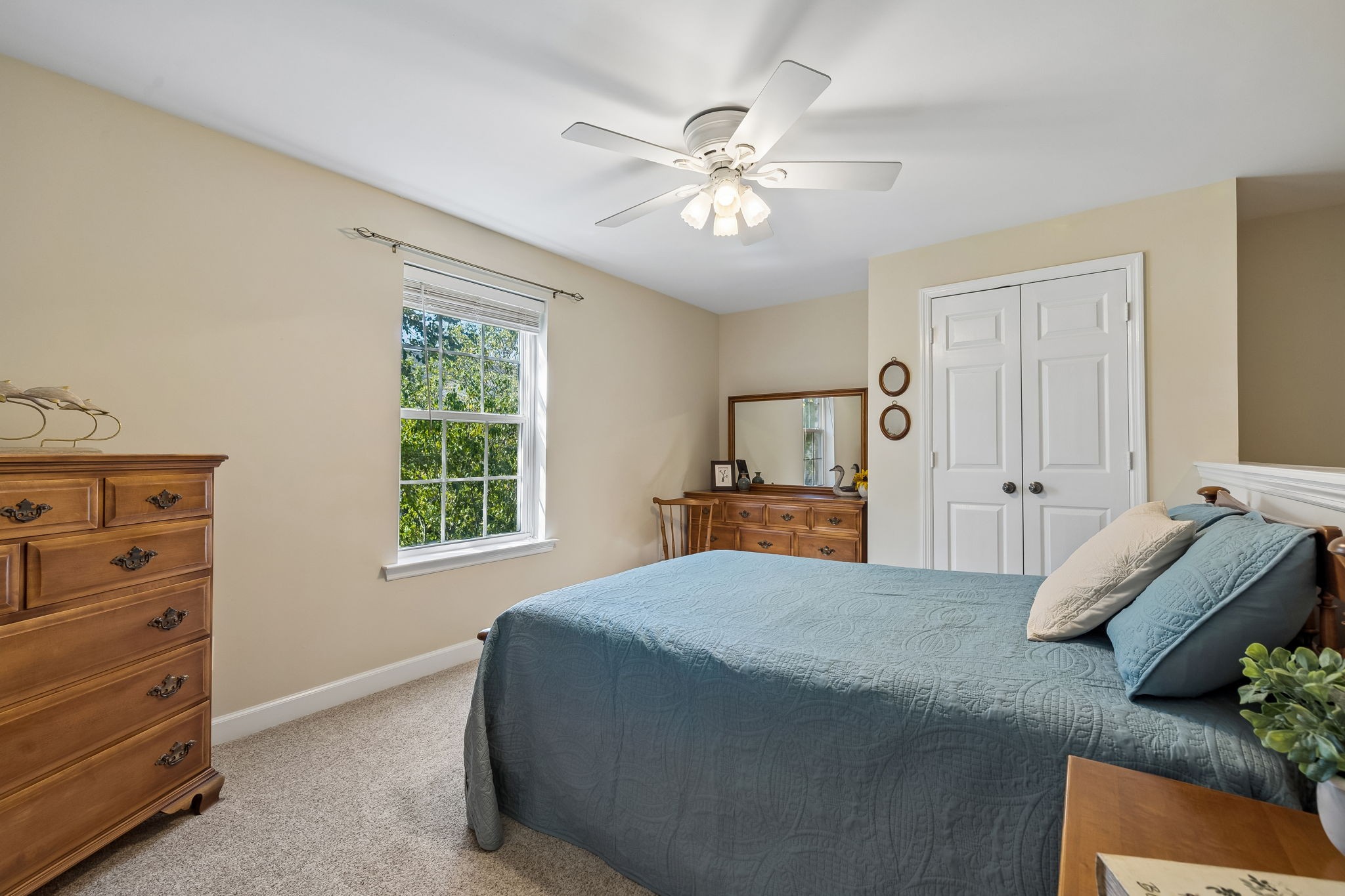 6 Donnell Ct