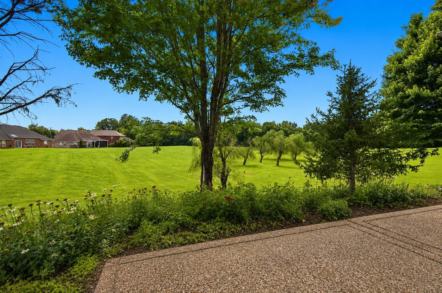 1009 Larkwood Dr