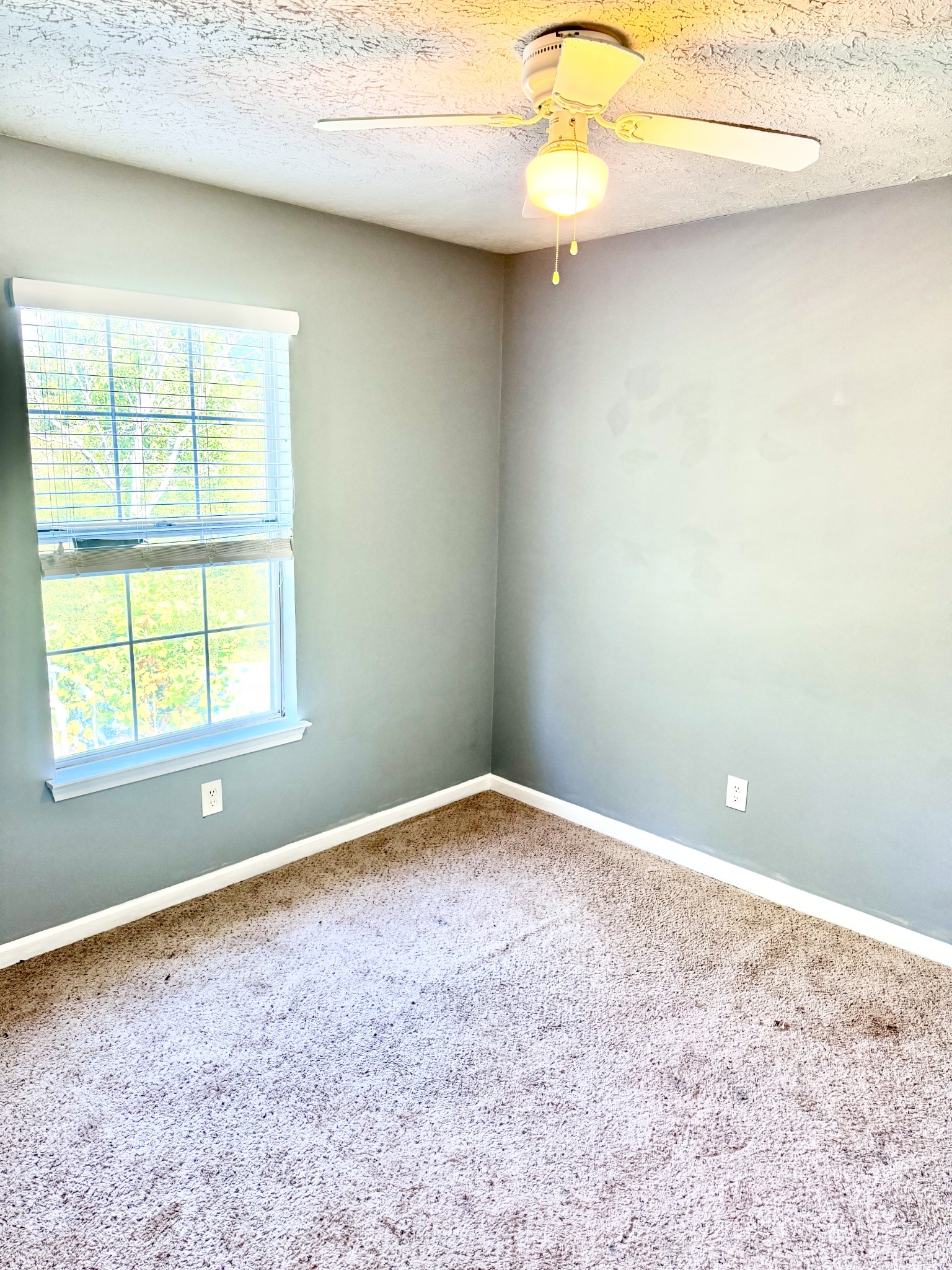 404 Brannon Hill Ct