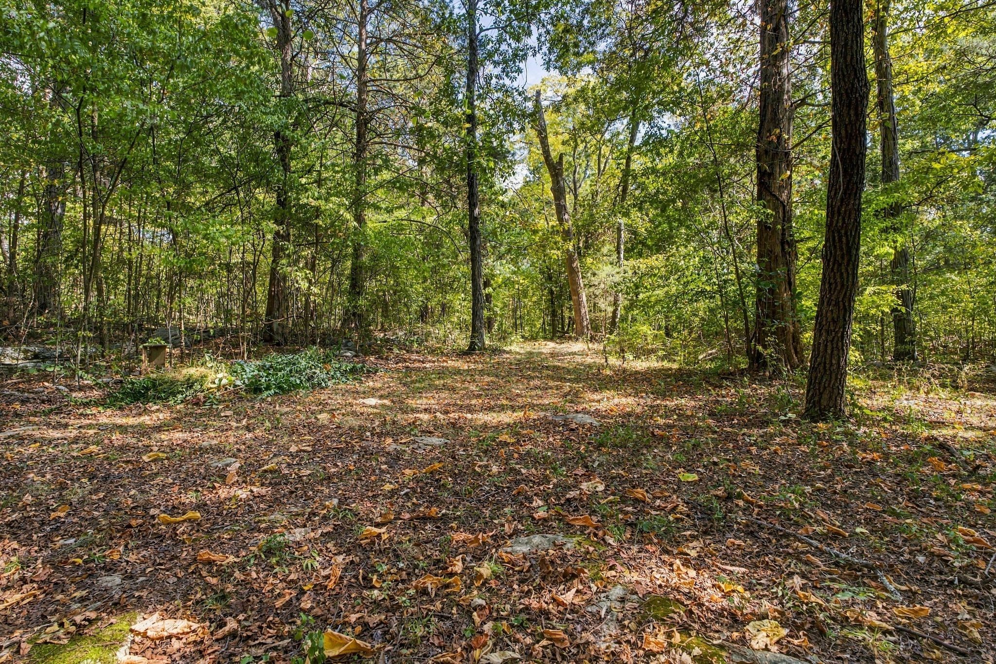 3365 Murfreesboro Rd