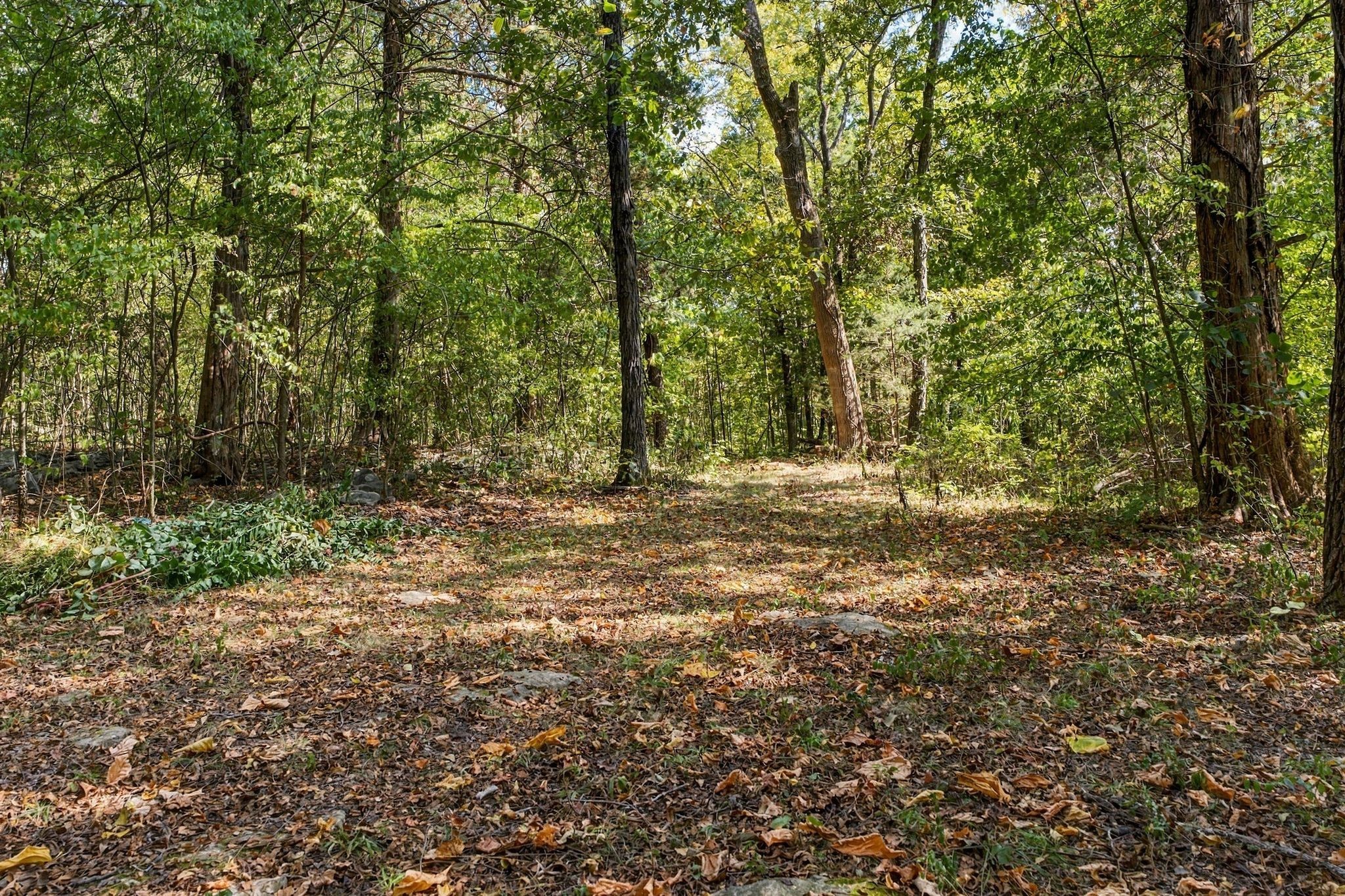 3365 Murfreesboro Rd