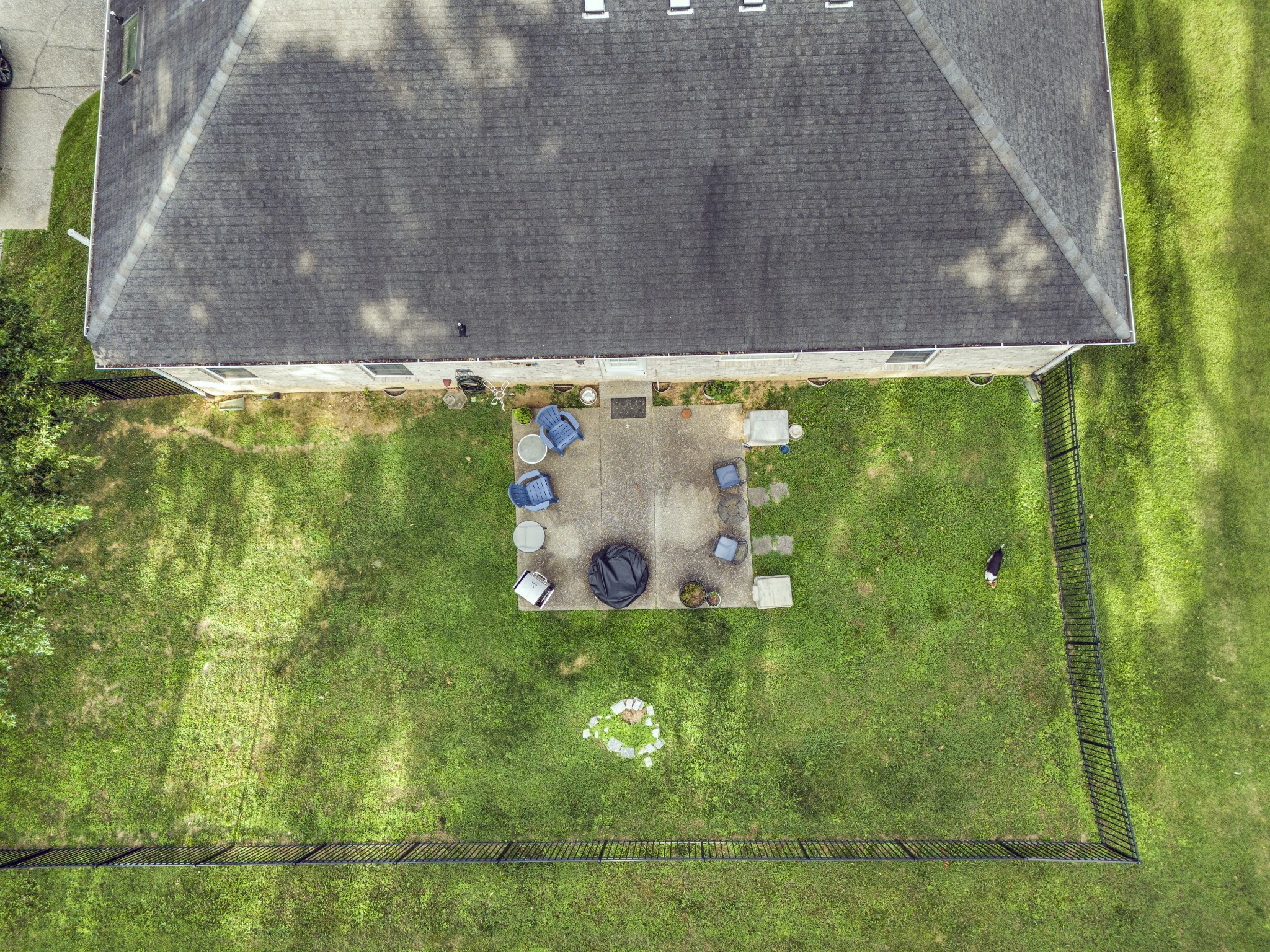 1009 Stafford Ct