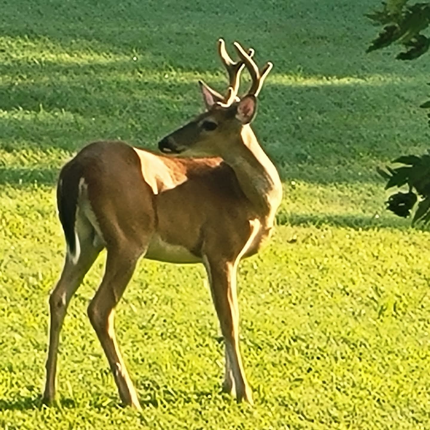 2175 Belotes Ferry Rd