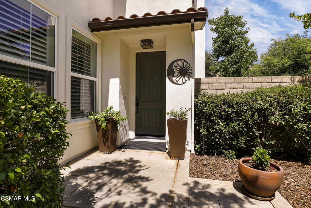 3846 Young Wolf Drive