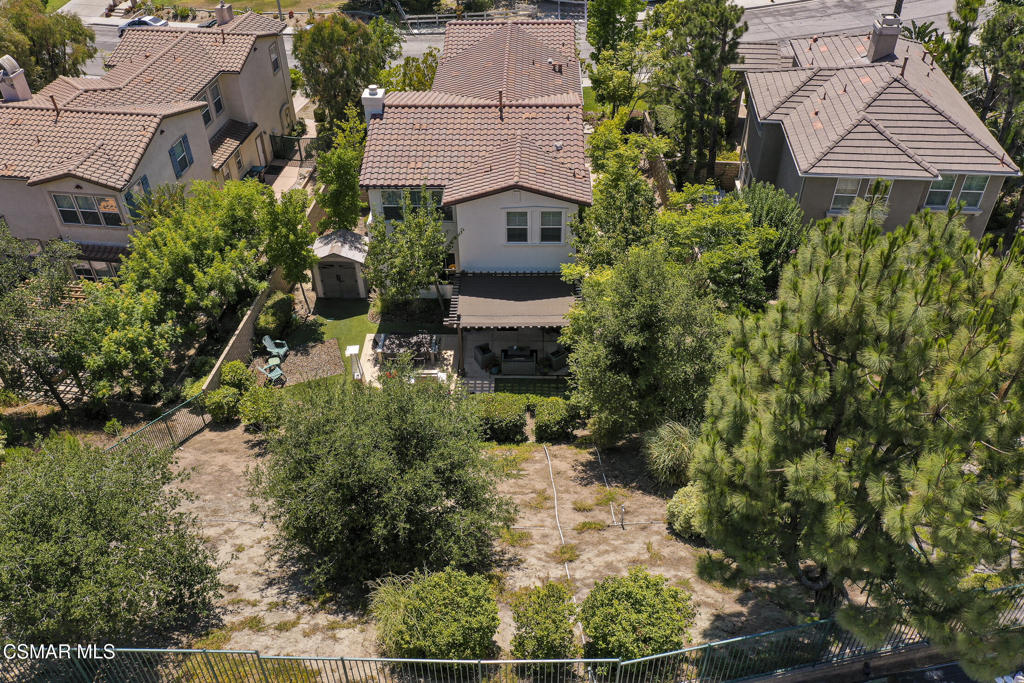 3846 Young Wolf Drive