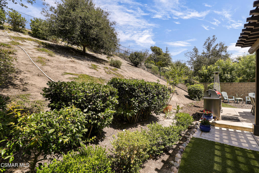 3846 Young Wolf Drive