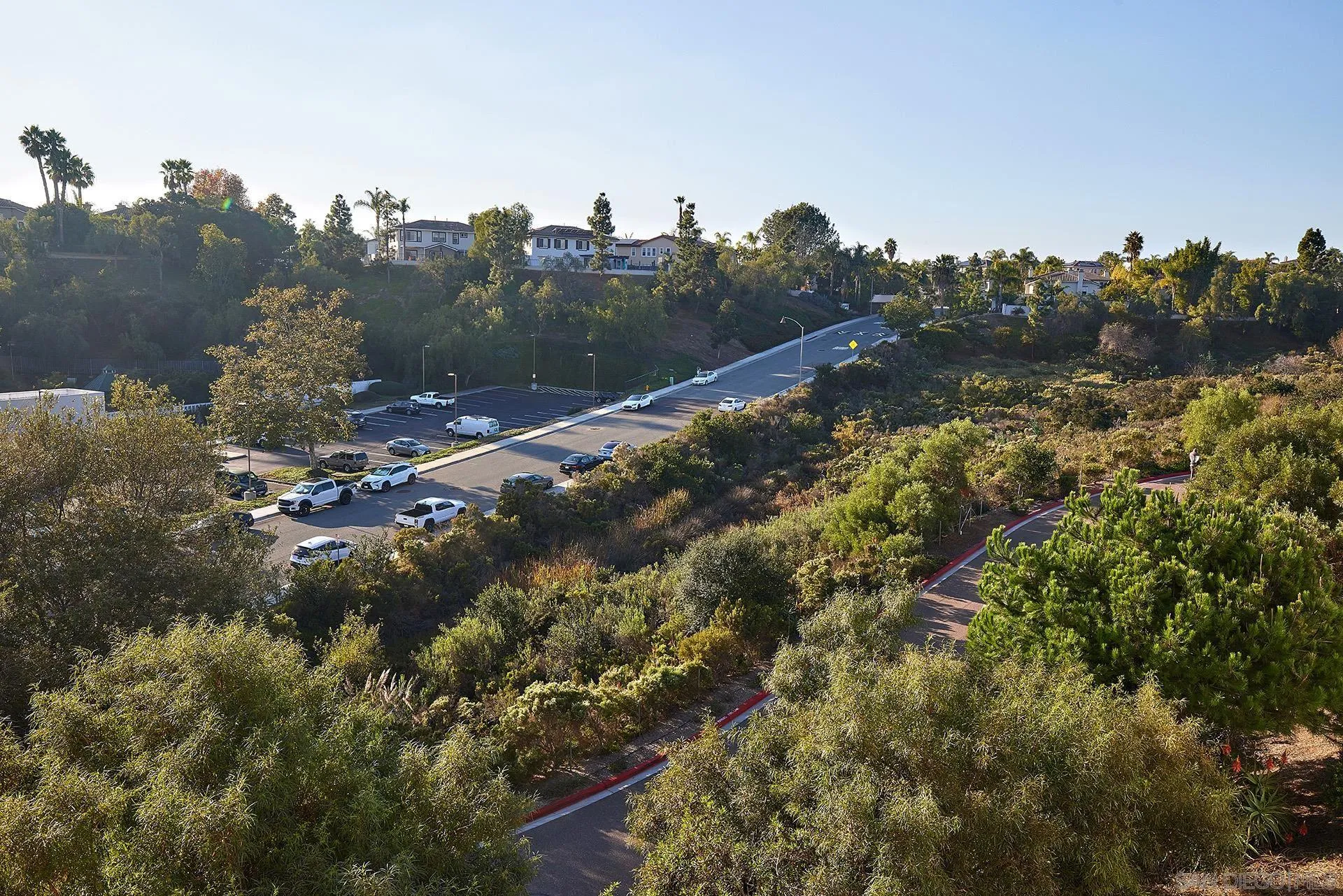 1843 Sea Rocket Lane