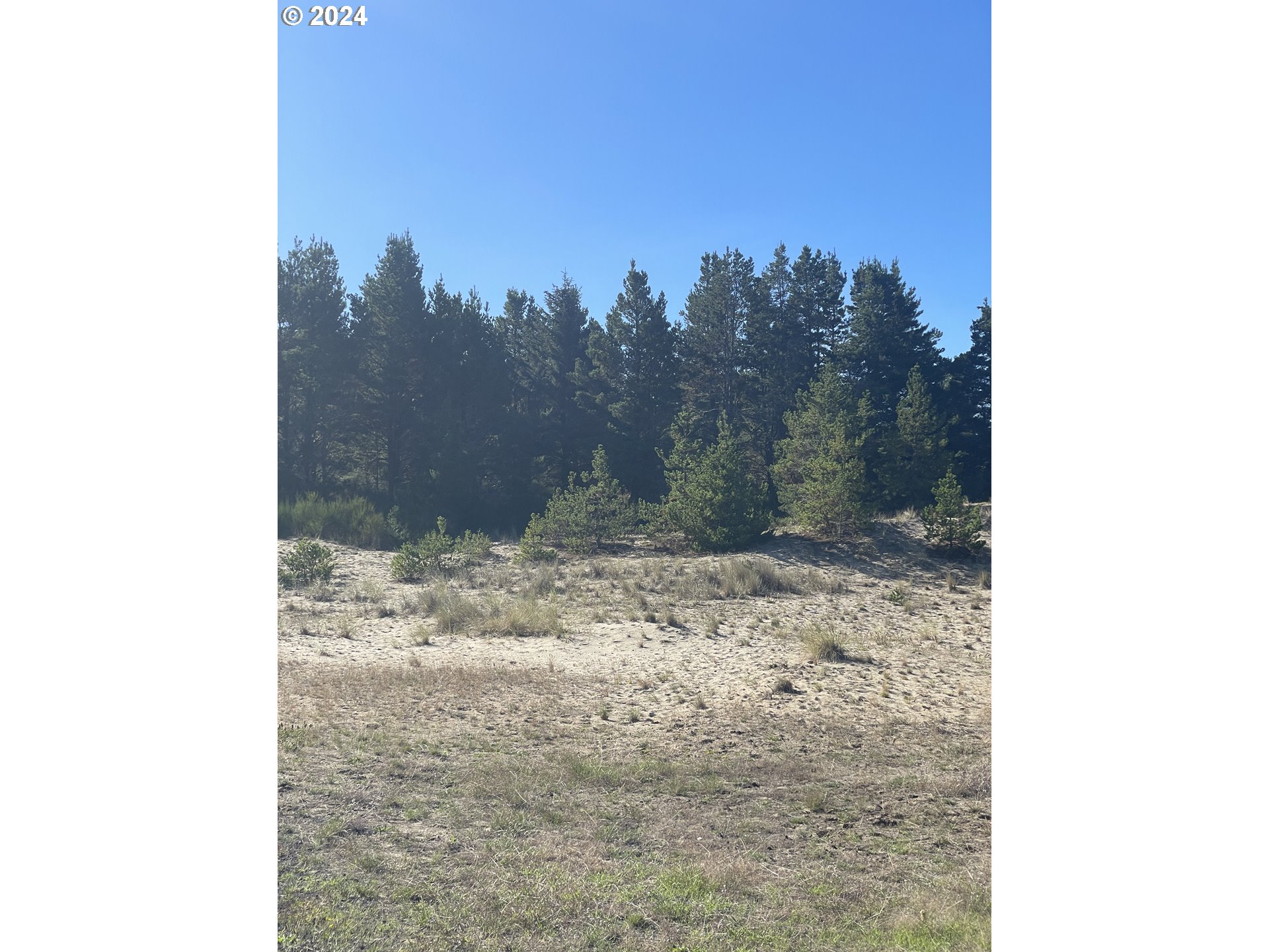 113 Lodgepole DR LOT 113