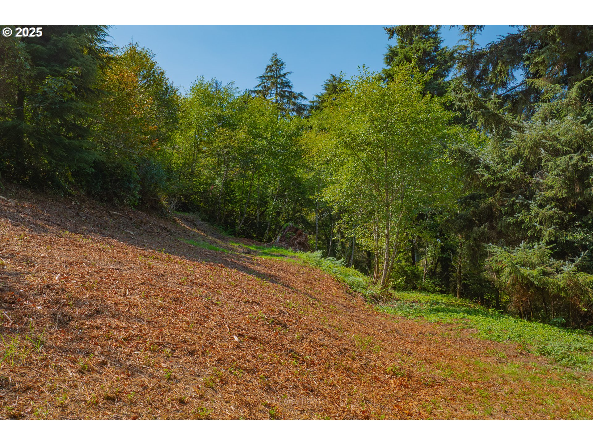 Dewolf Rd Lot 16