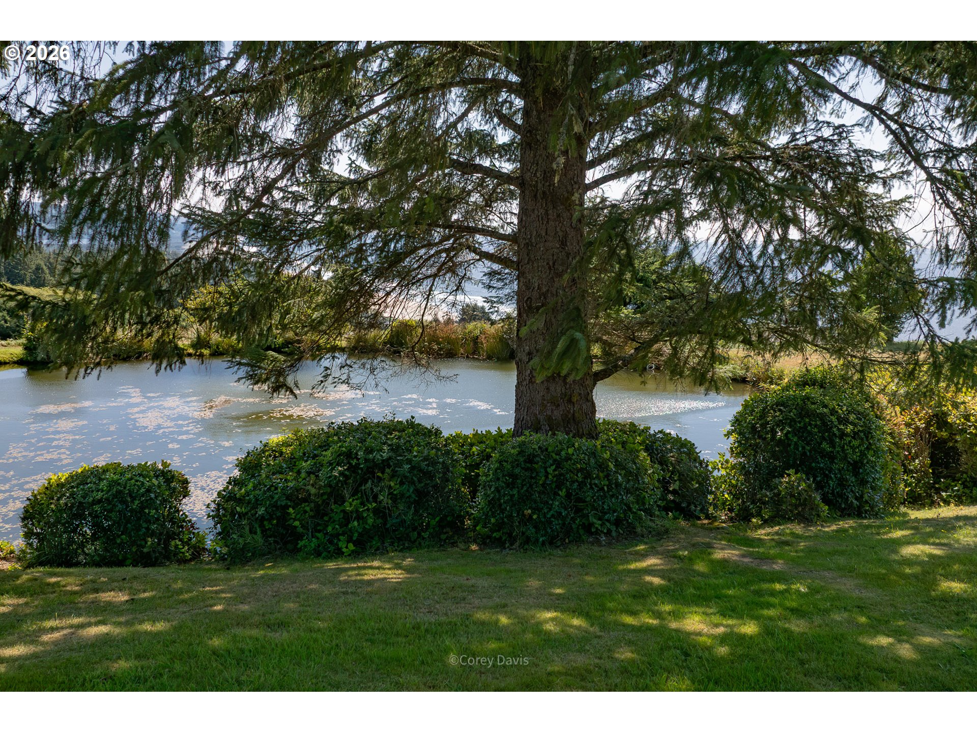 38410 MEADOW LOOP