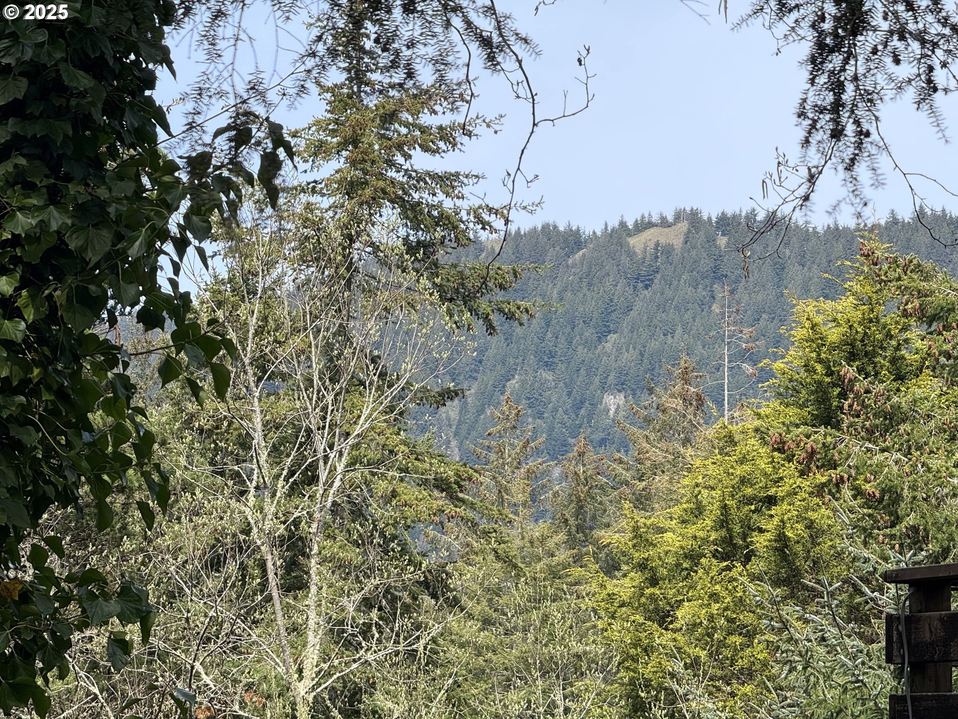 3300 VL Madrona Ave.