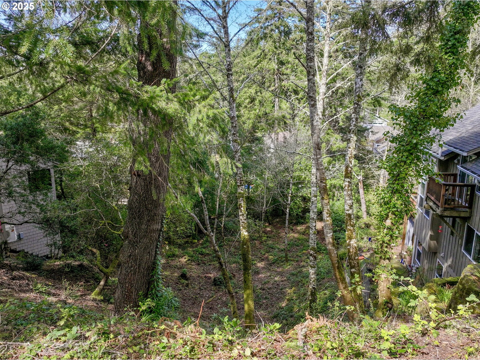 3300 VL Madrona Ave.