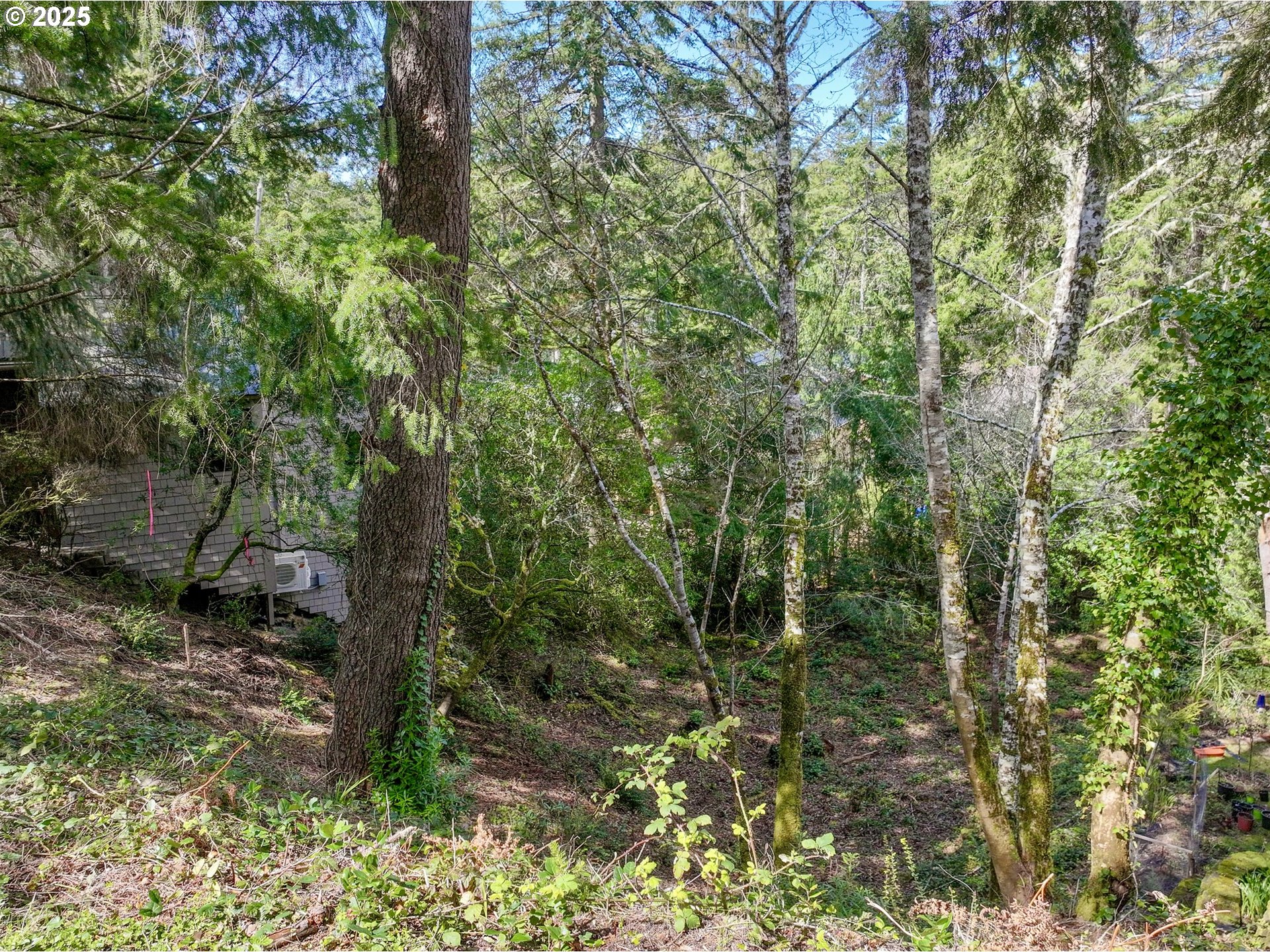 3300 VL Madrona Ave.