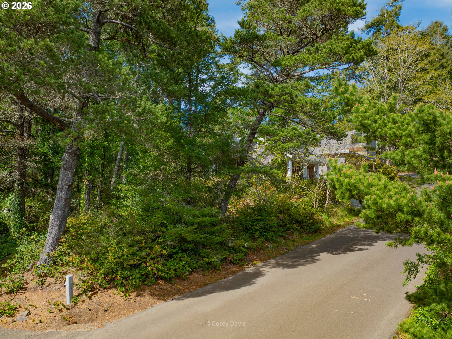 0 Madrona ST 02900