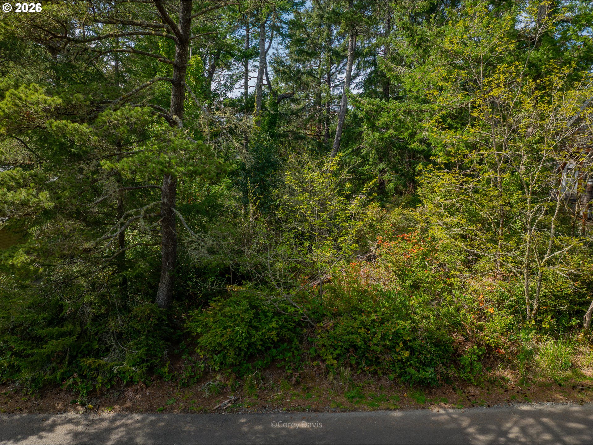0 Madrona ST 02900
