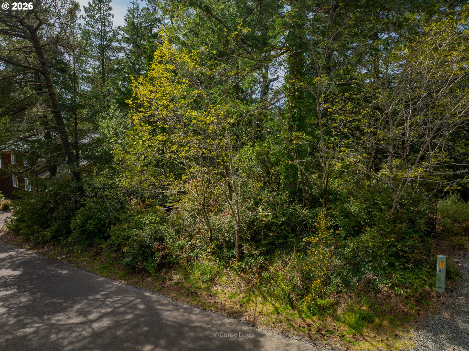 0 Madrona ST 02900