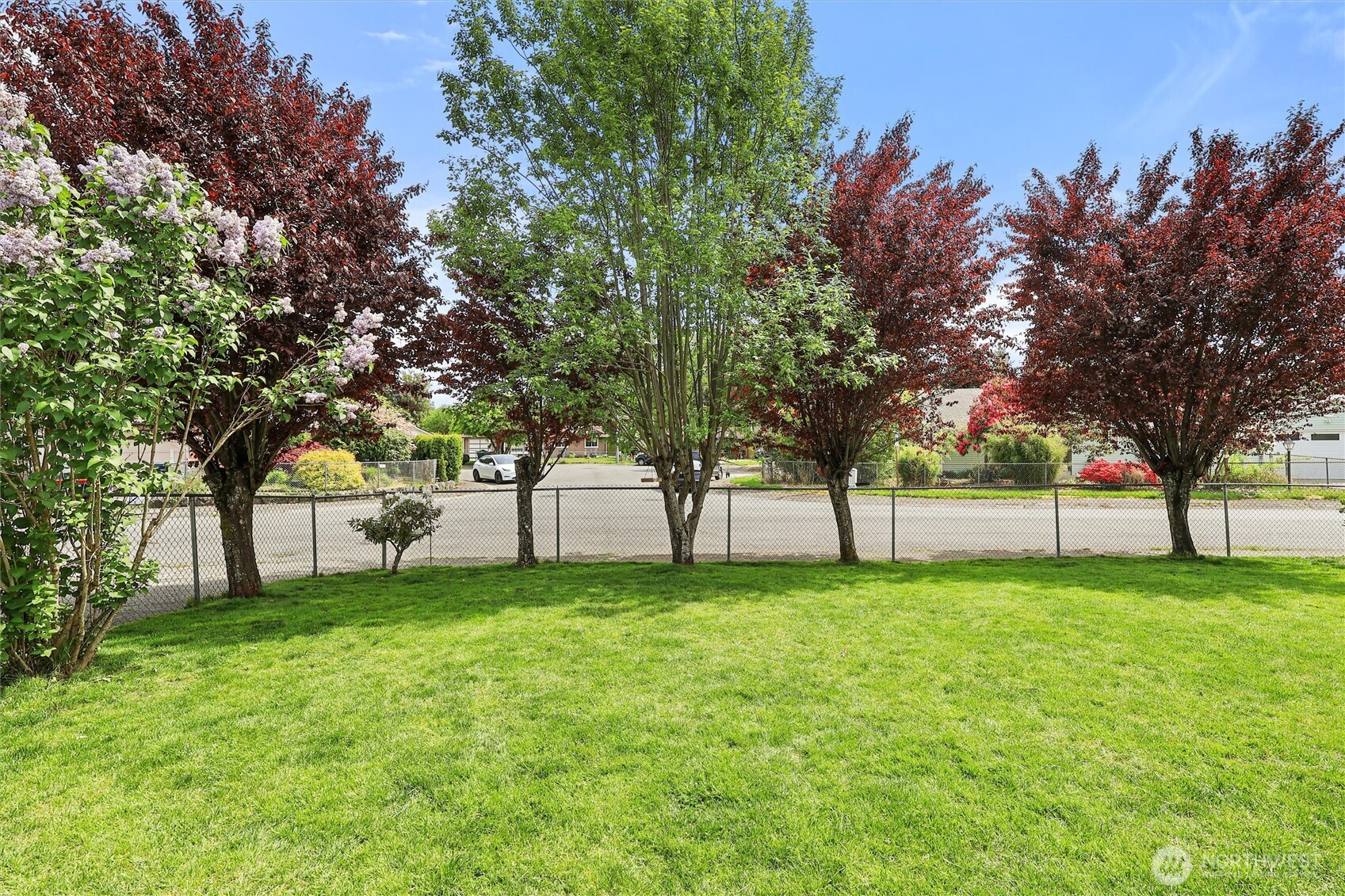 111 Paradise Parkway