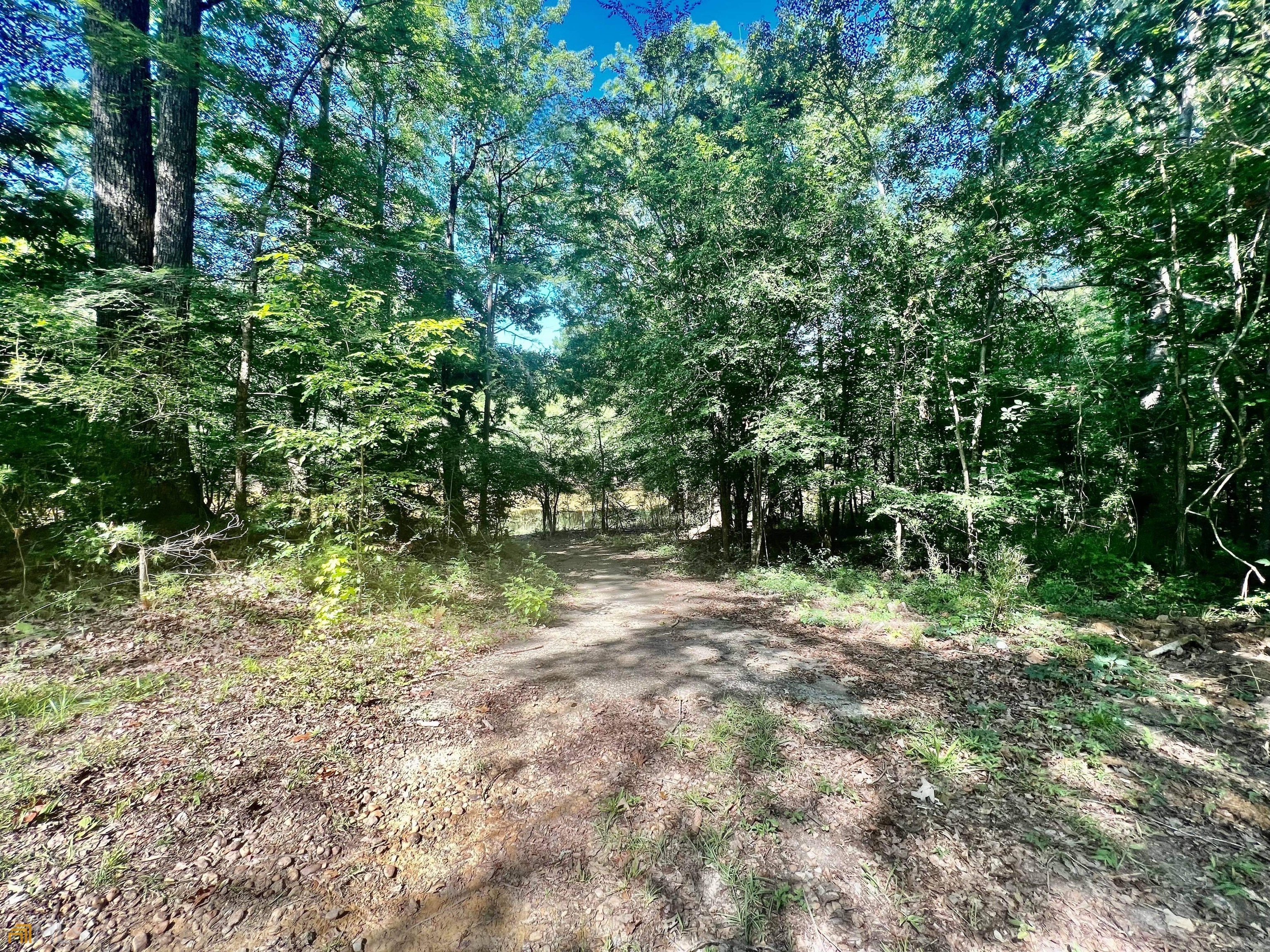 1017 Dead River Road