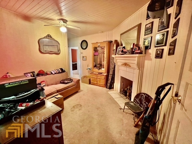 466 Macedonia Church Road, Mcrae-Helena