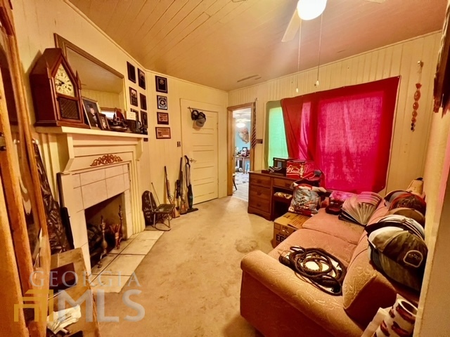 466 Macedonia Church Road, Mcrae-Helena