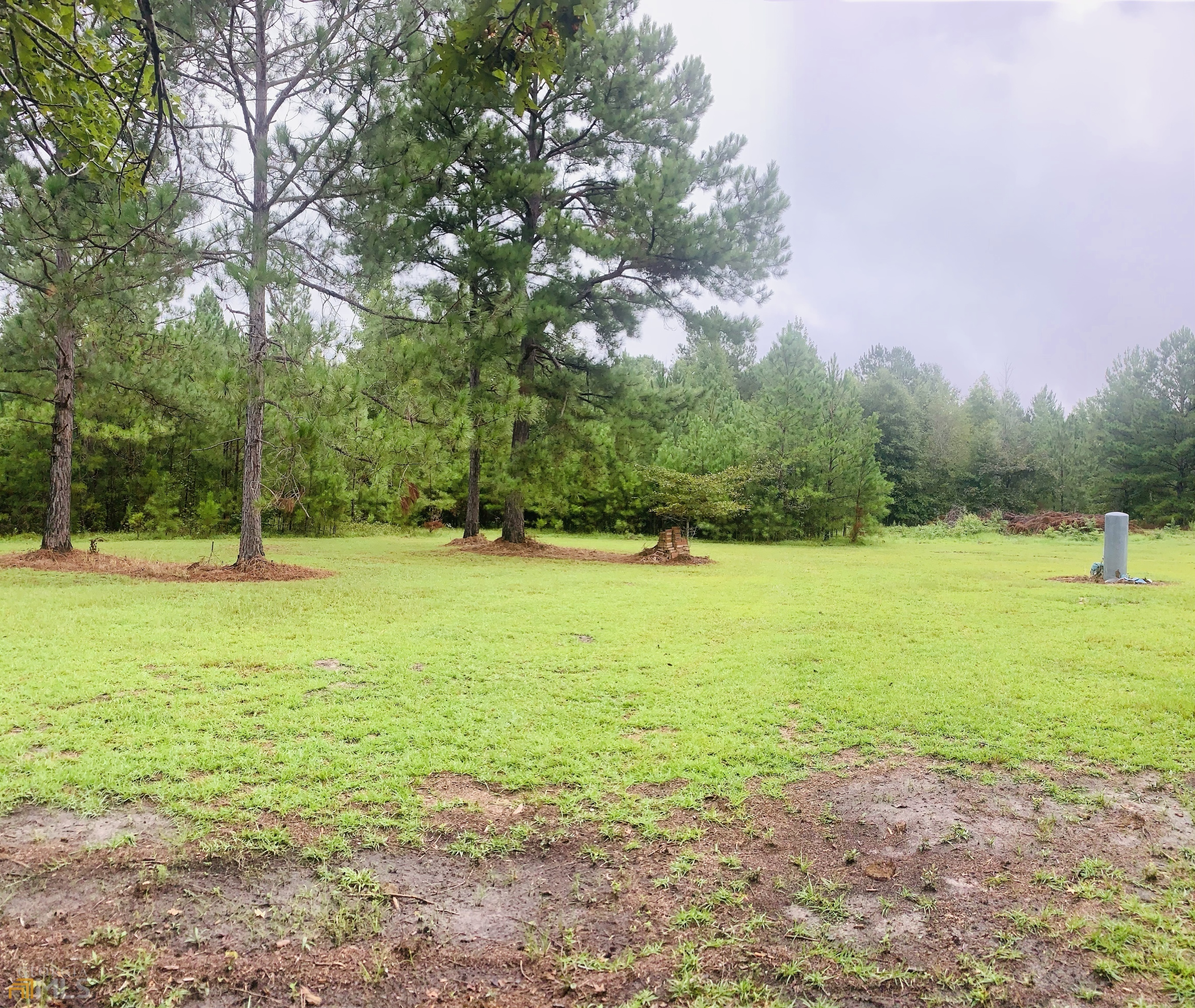 239 Trent Drive