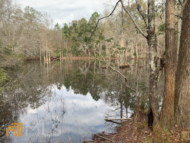 0 Helena Chauncey Road, Mcrae-Helena