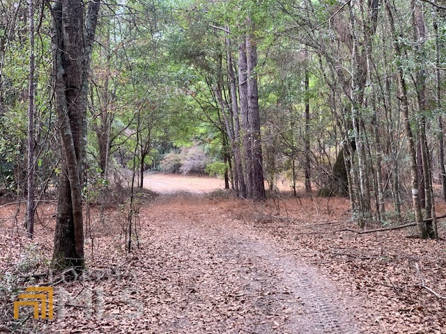 0 Helena Chauncey Road, Mcrae-Helena
