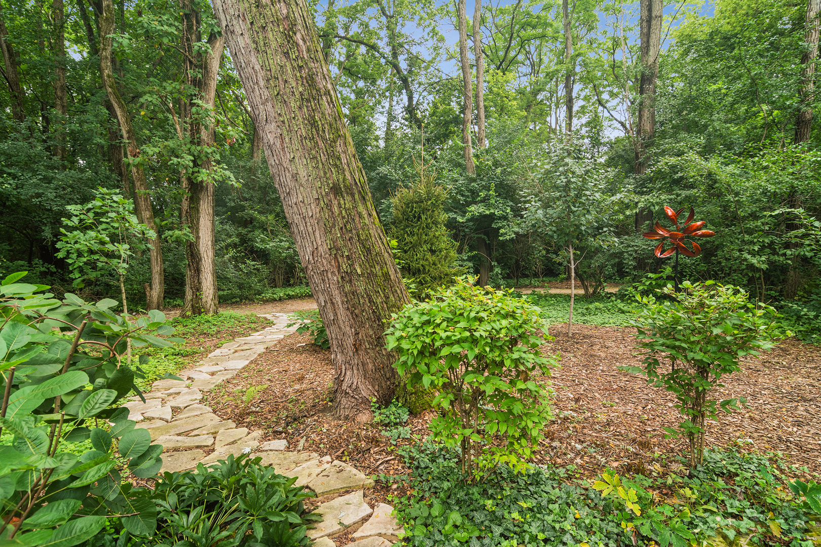 4614 Forest Way Circle