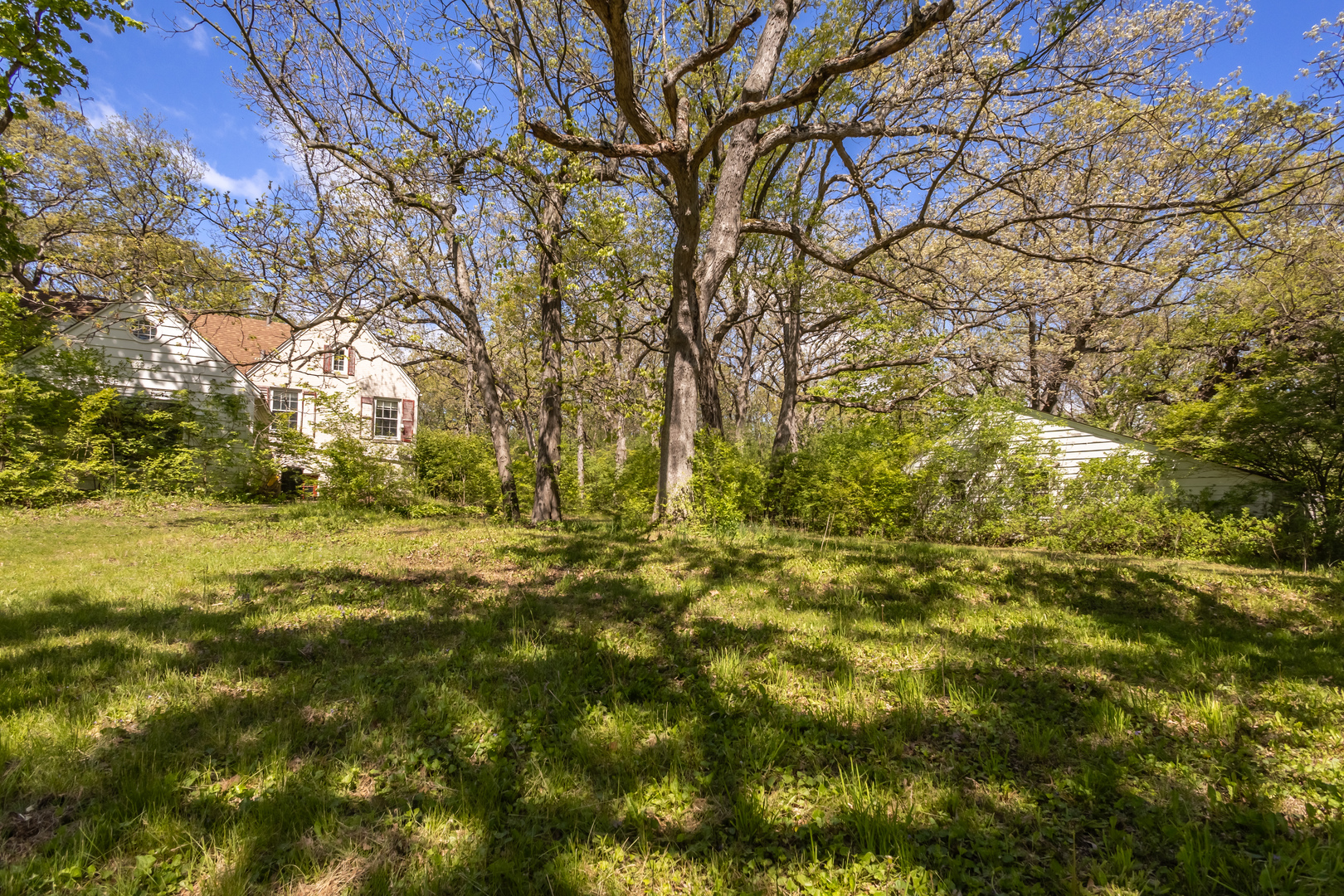 4317 Willowbrook Road