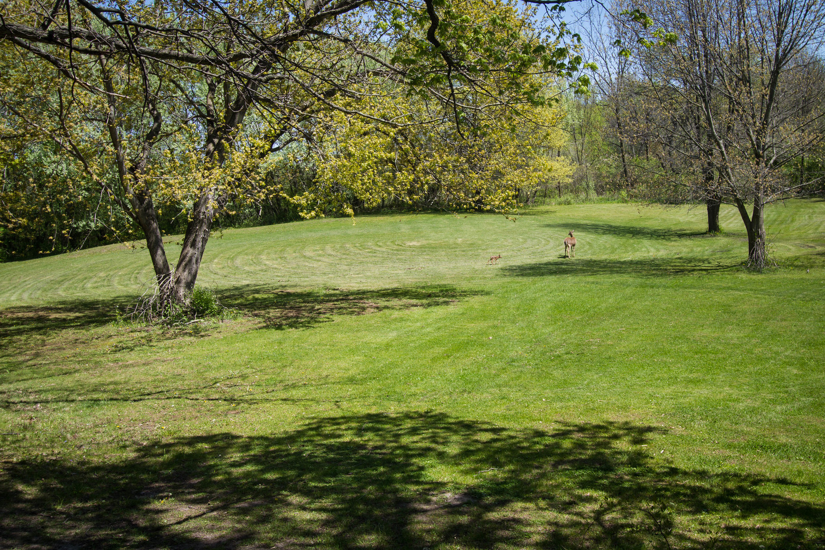 4317 Willowbrook Road