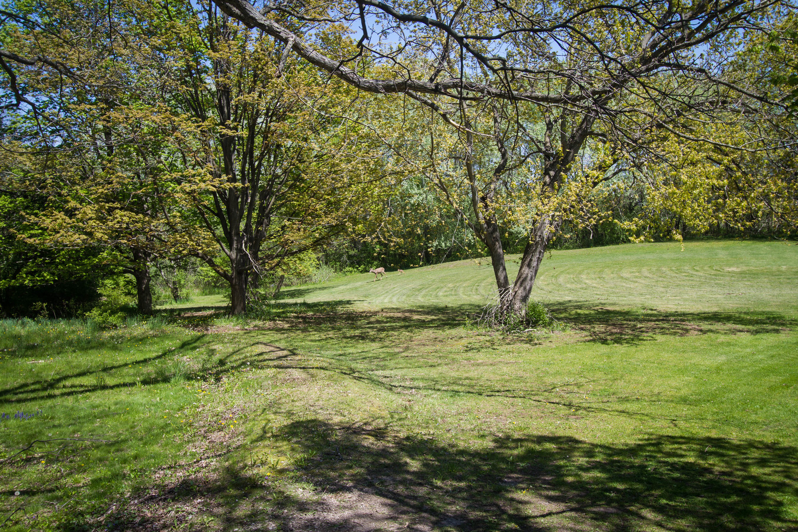 4317 Willowbrook Road