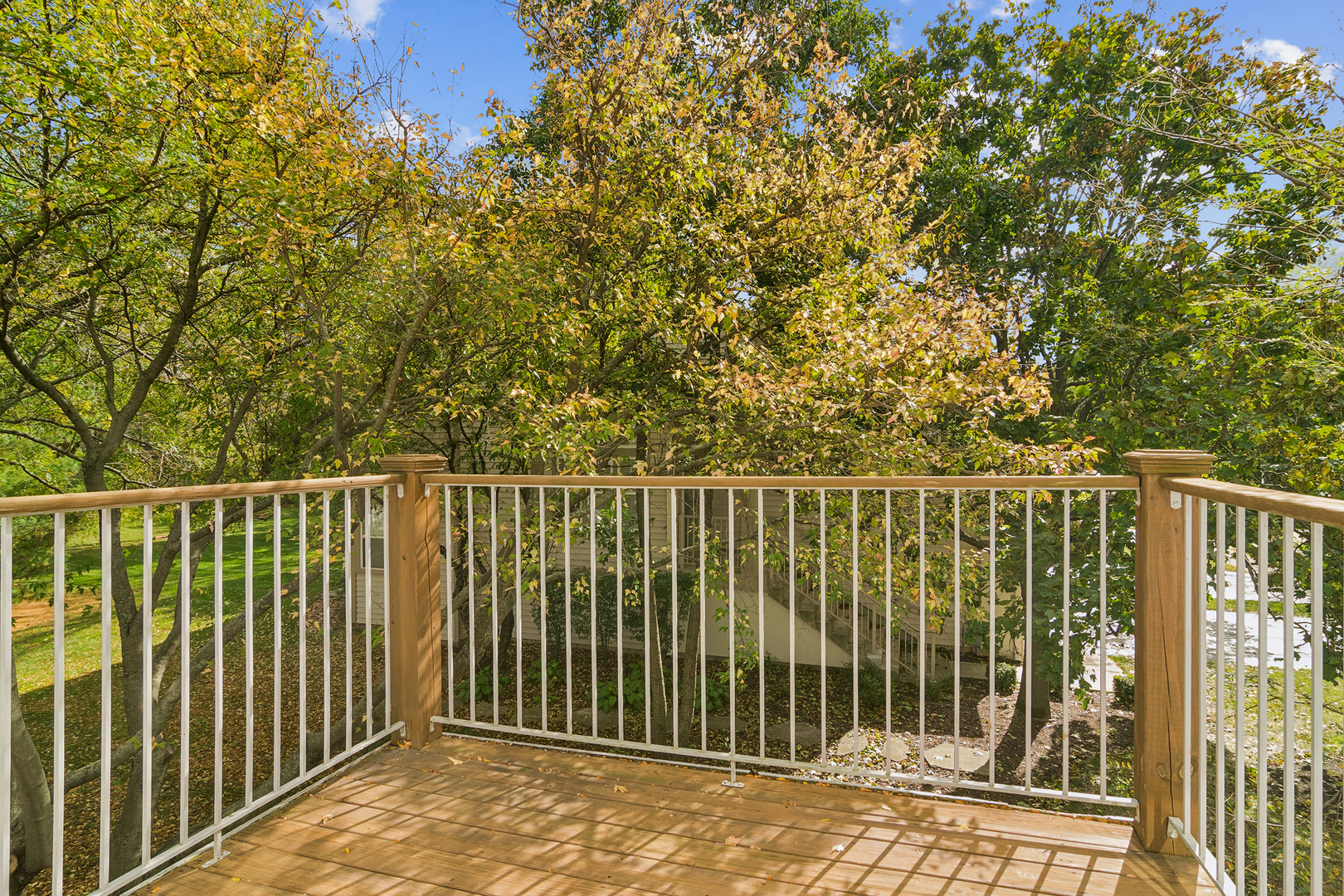 2411 PALAZZO Drive Unit: 2411