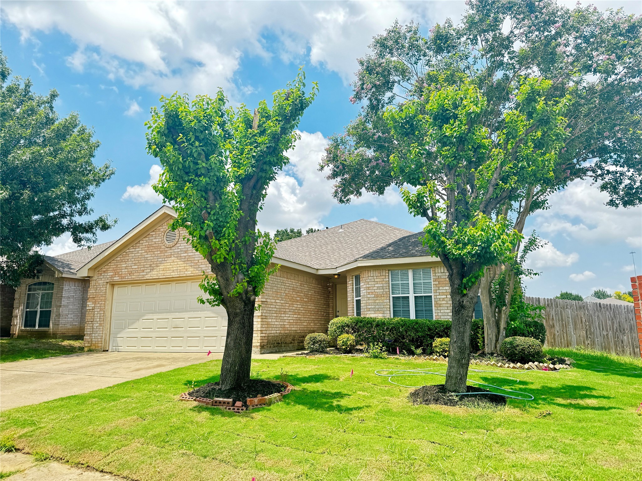 807 Martin Lane