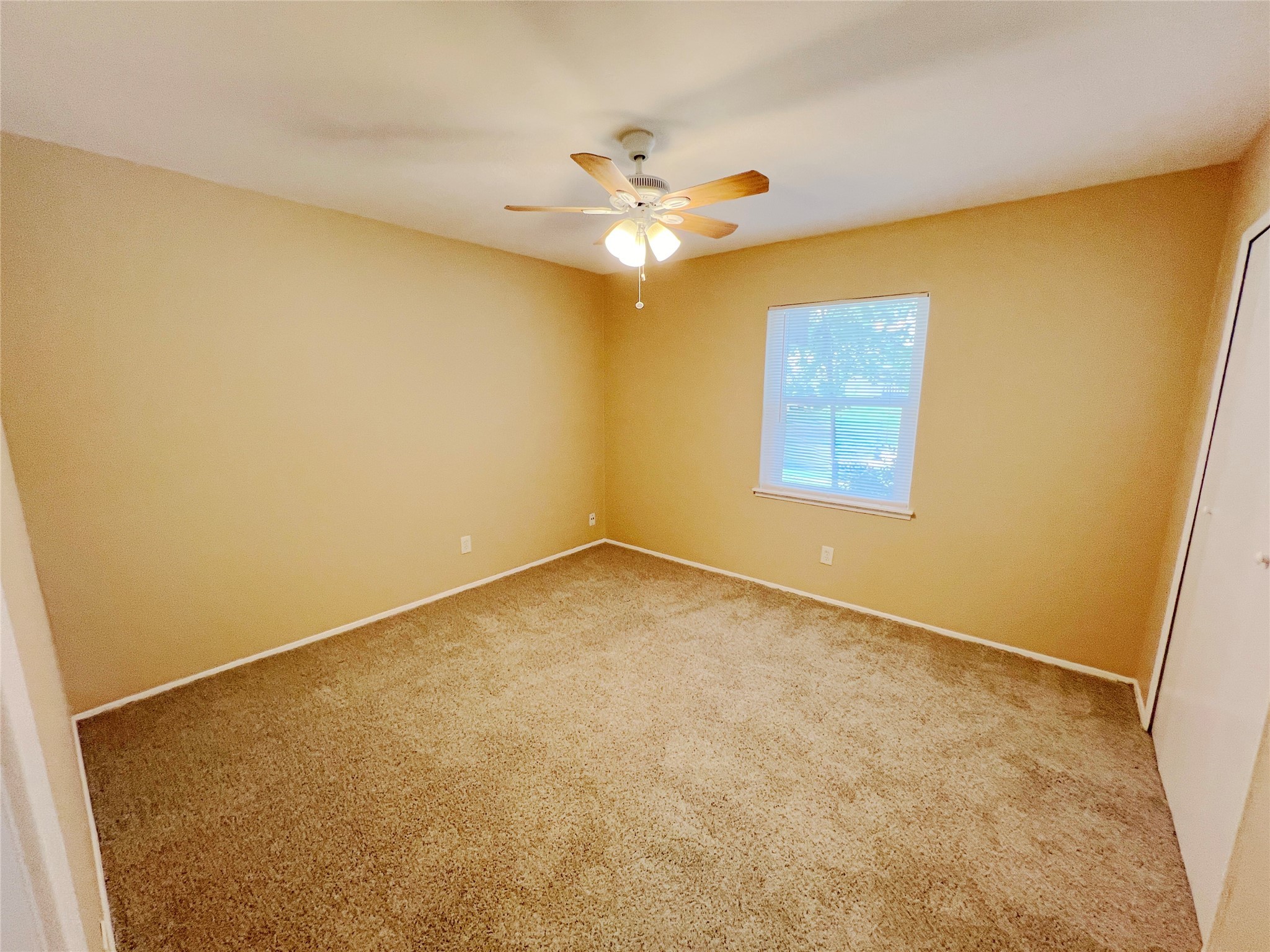 713 Edelweiss Drive