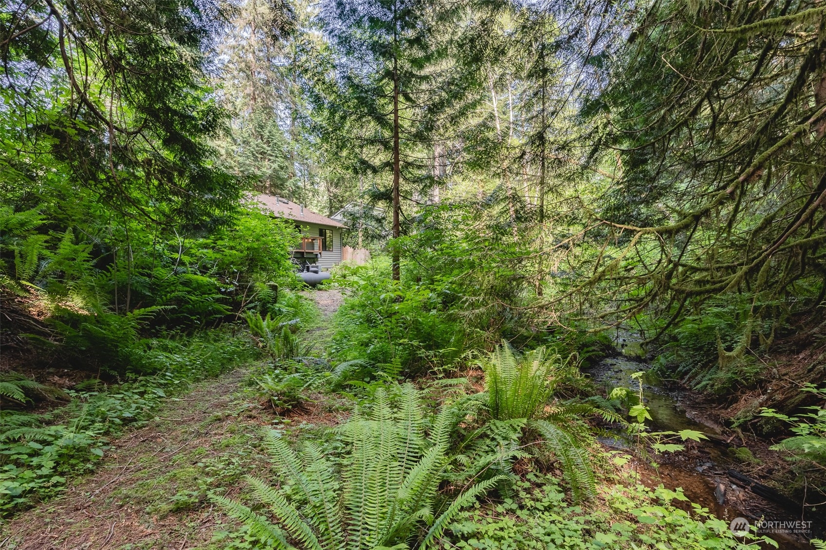4 Cayuse Court