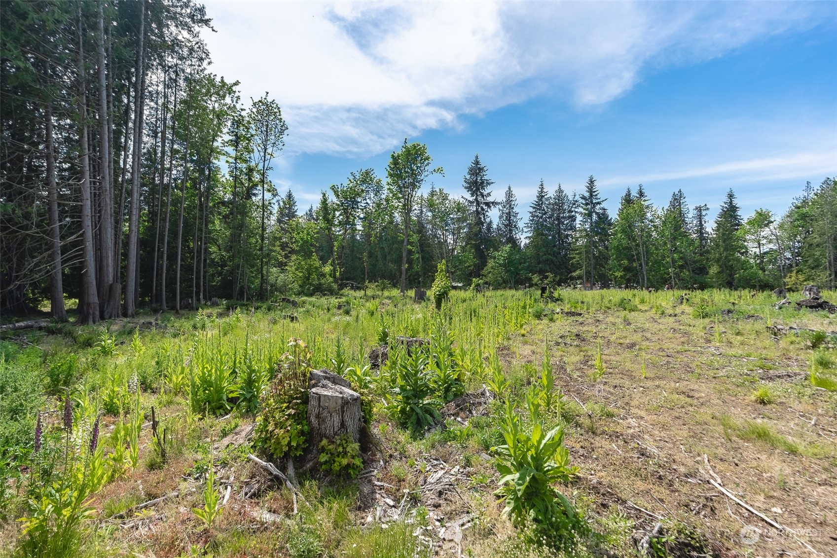 3326 Cedarville Road , -9546