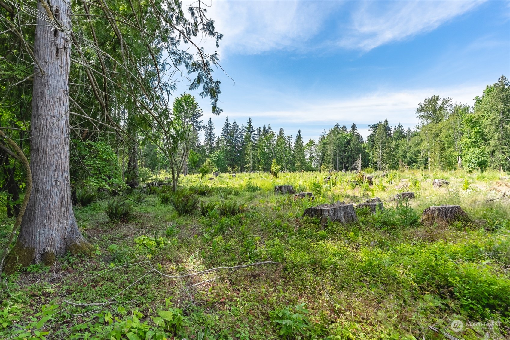 3326 Cedarville Road , -9546