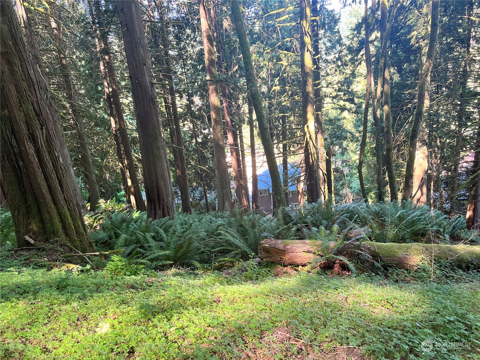 10 Valley View Circle