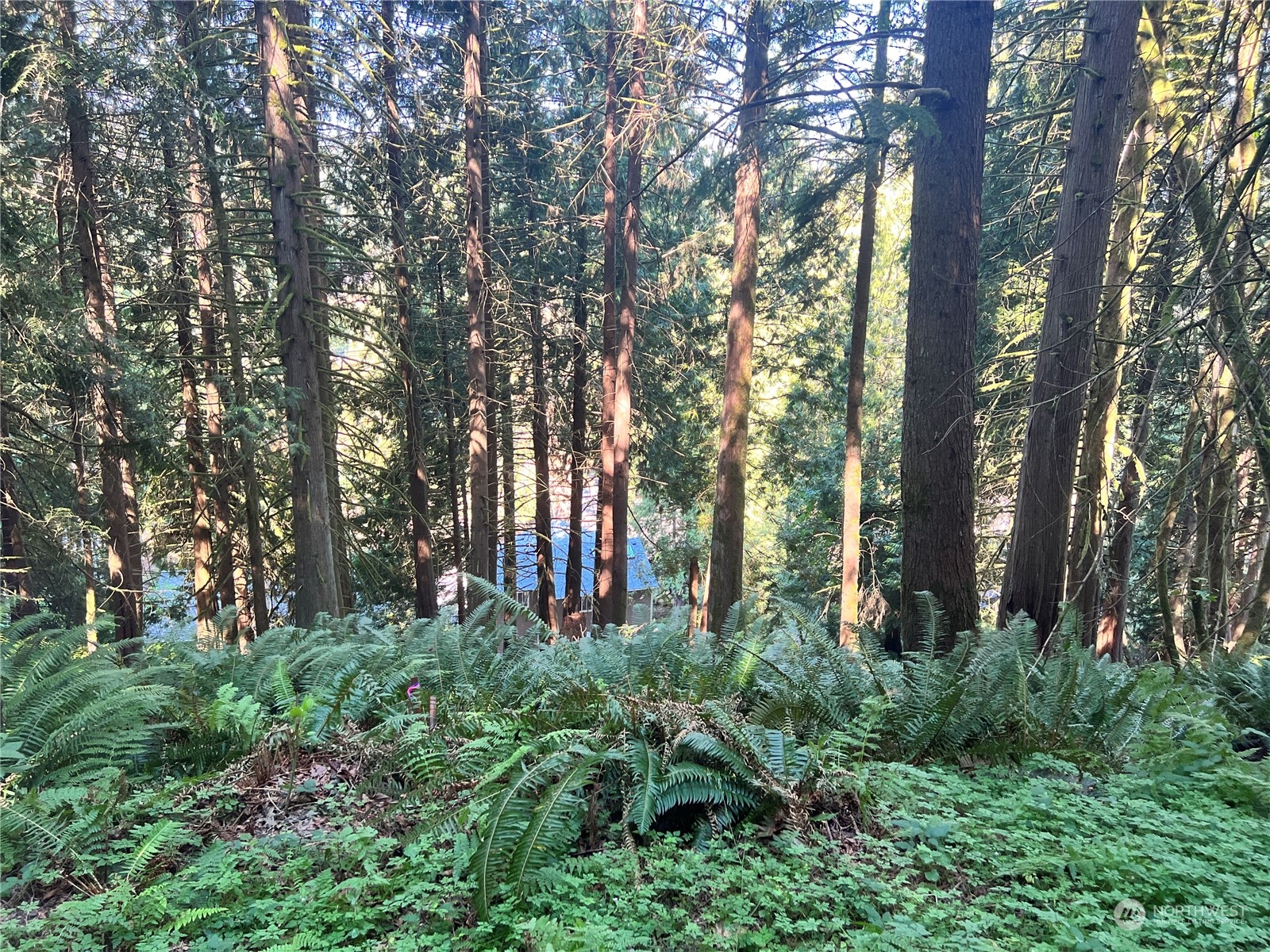 10 Valley View Circle