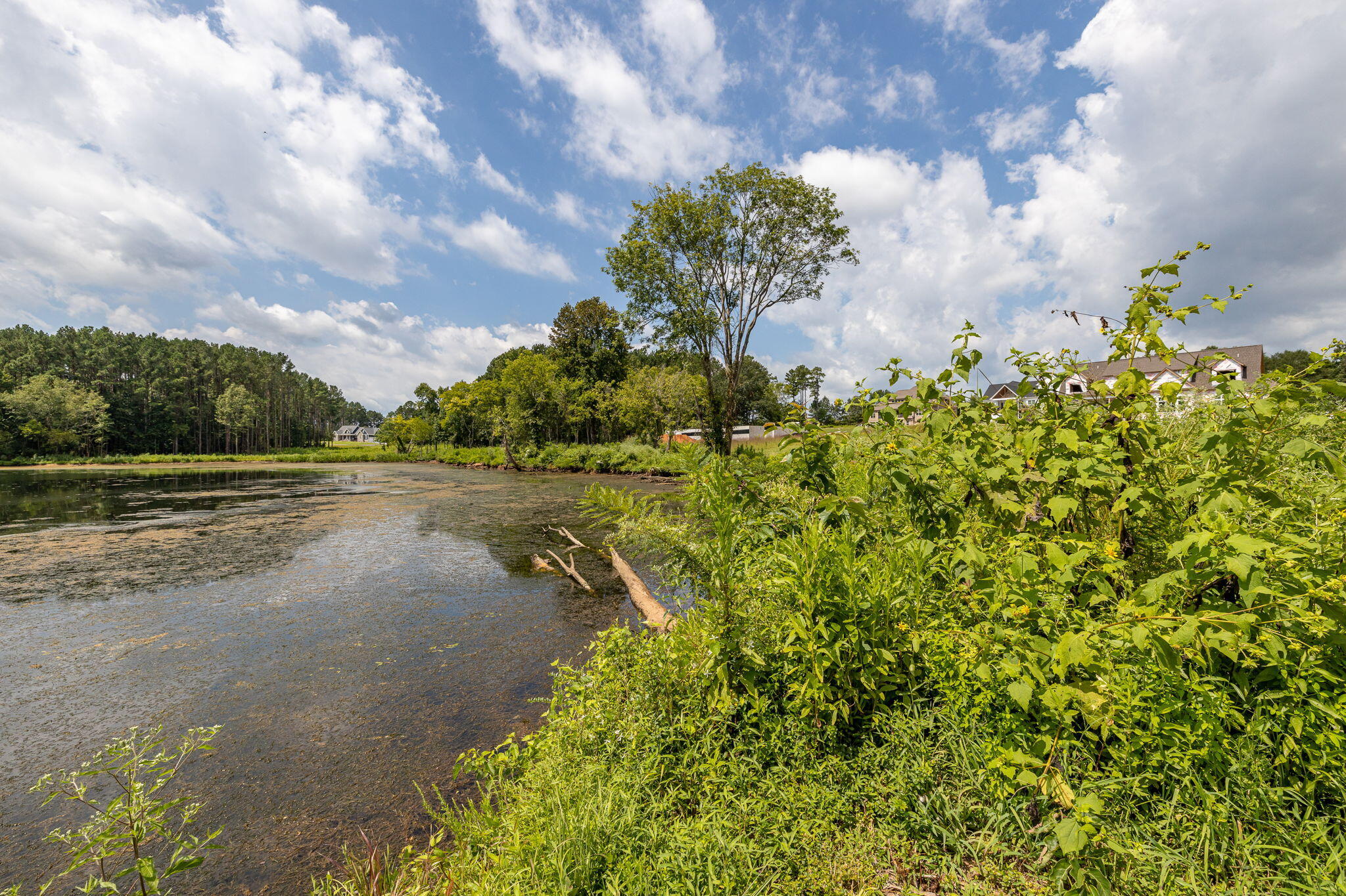 Lot 118 Edgewater Way, 118