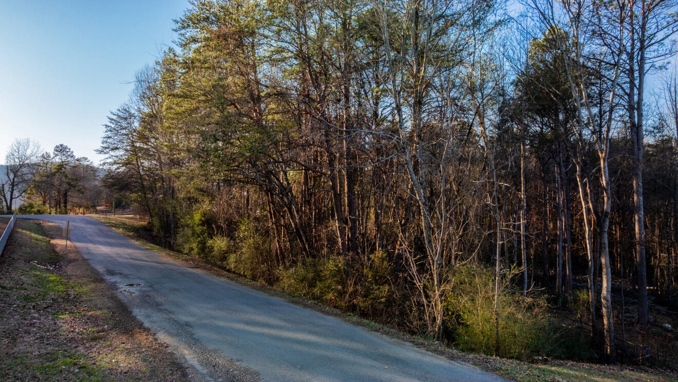 296 Bell Road