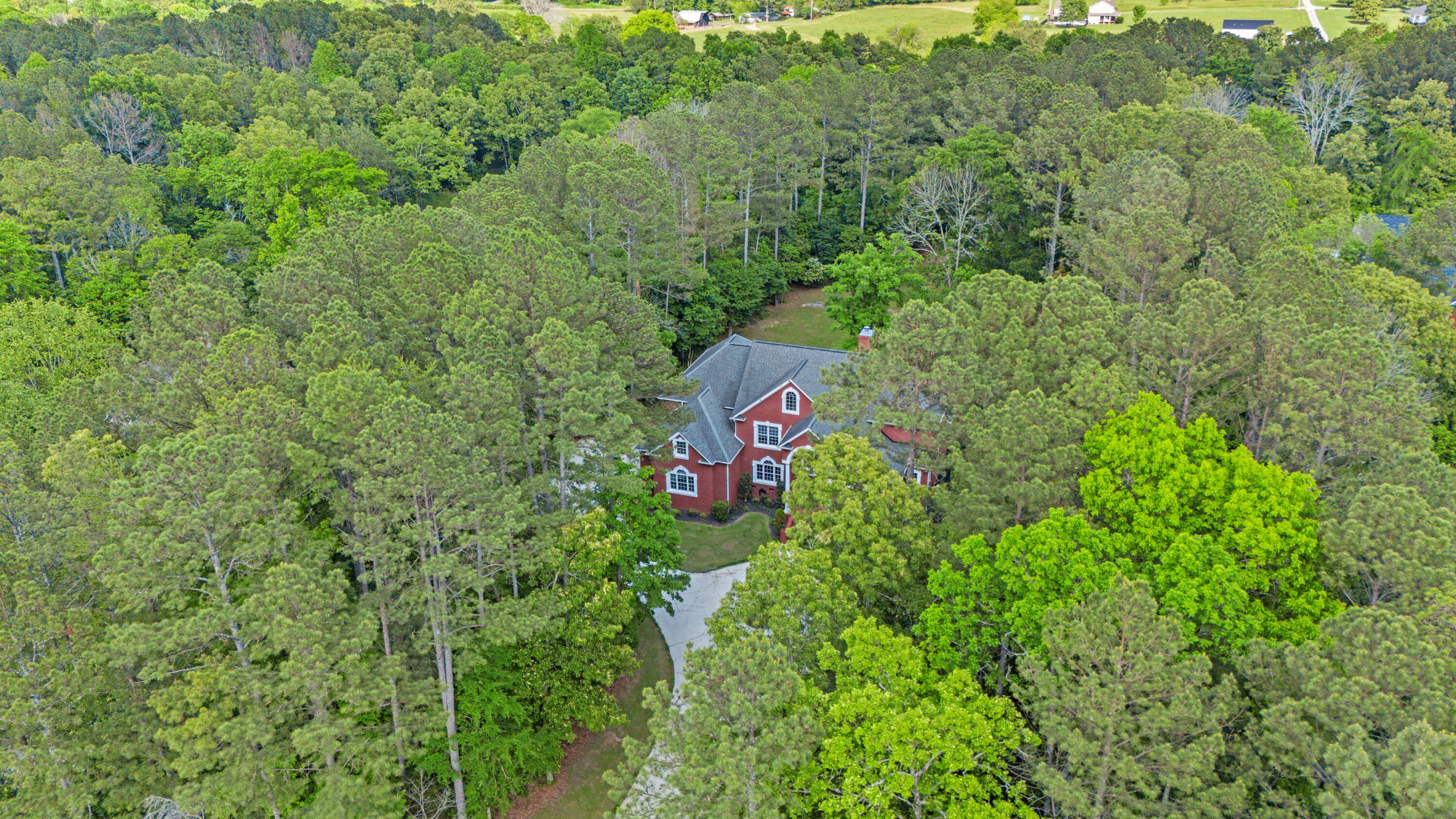 447 Classic Trail