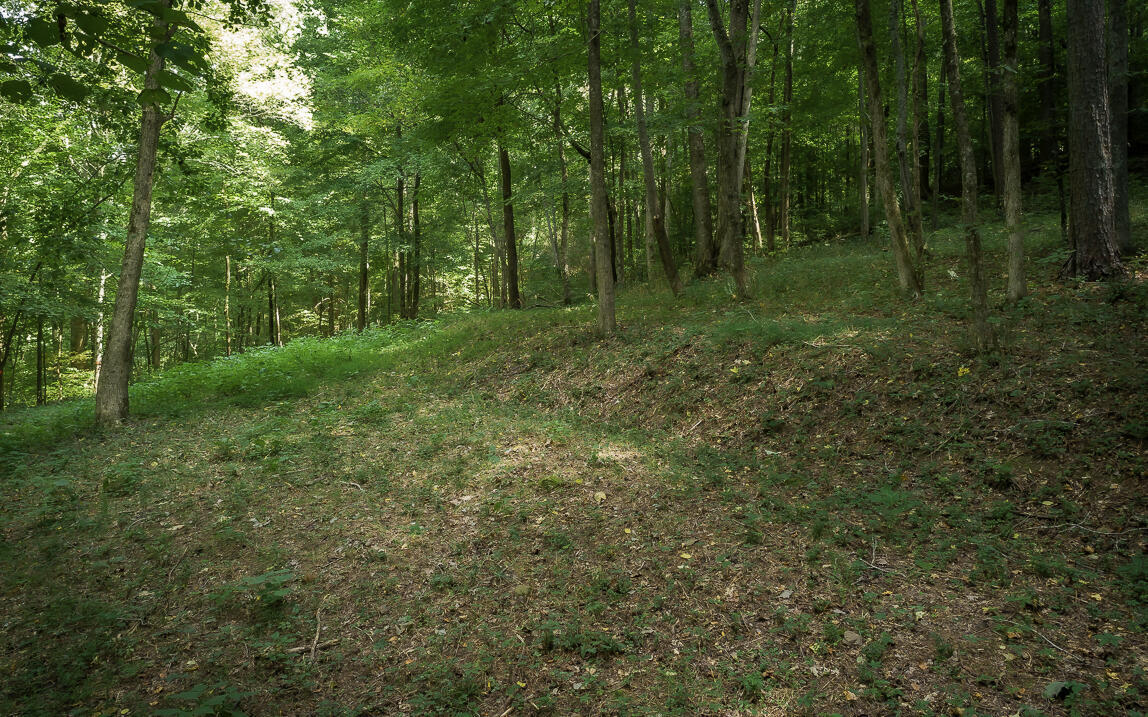 1754 Oakbrook Trail