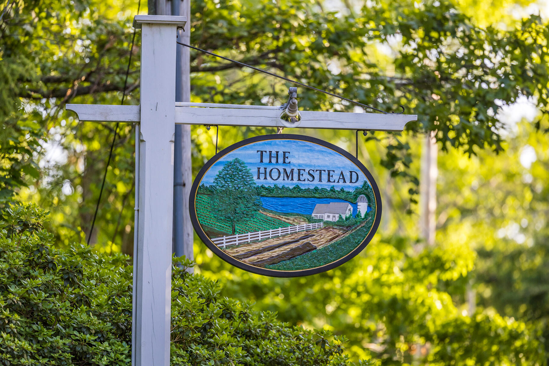 210 Olde Homestead Drive