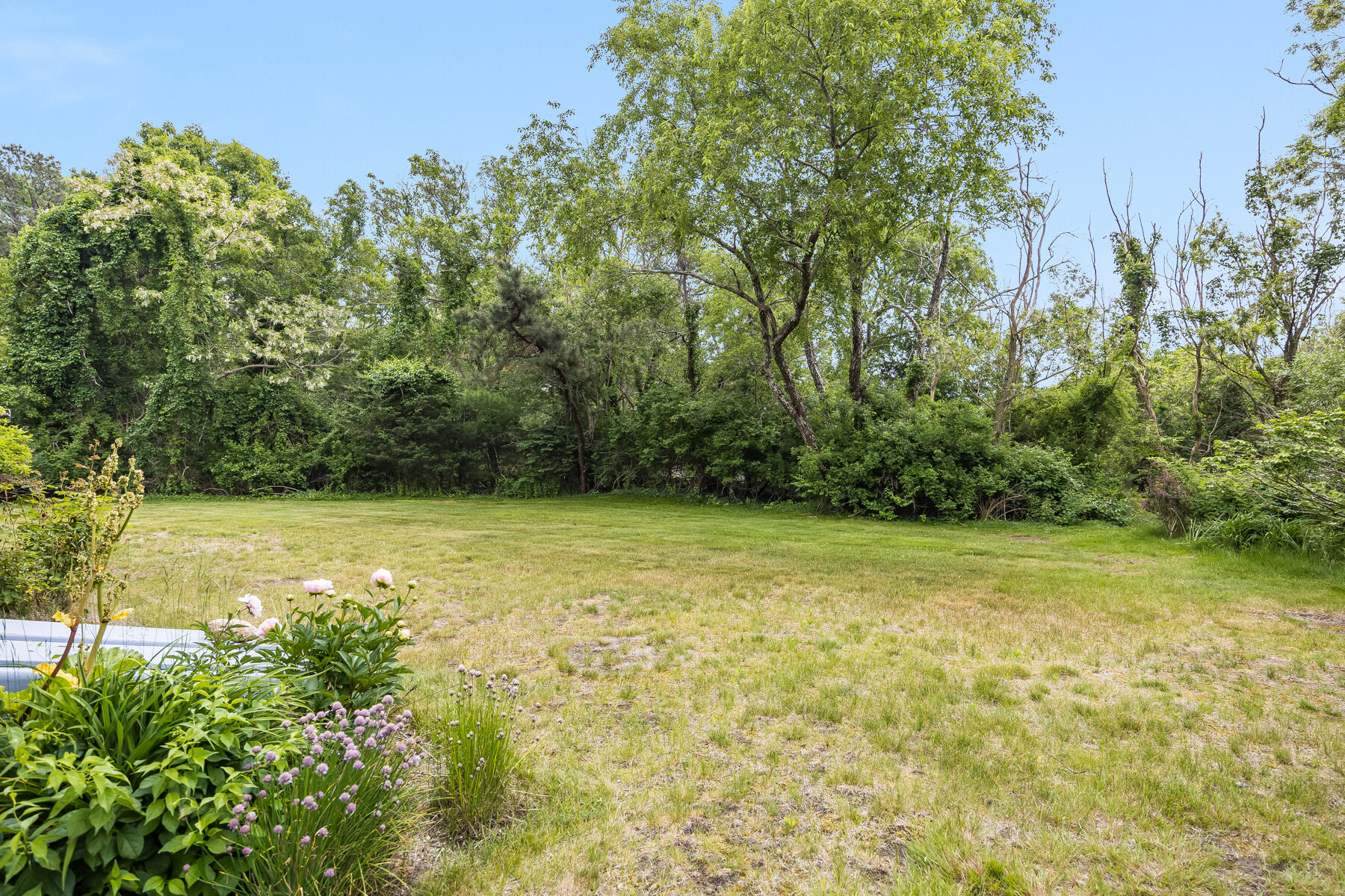 231 Knotty Pine Lane